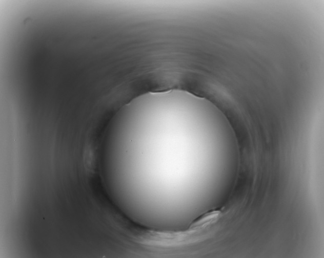 X0000089850037200707051123