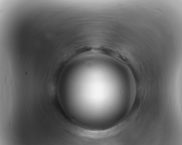 X0000089850039200707051123