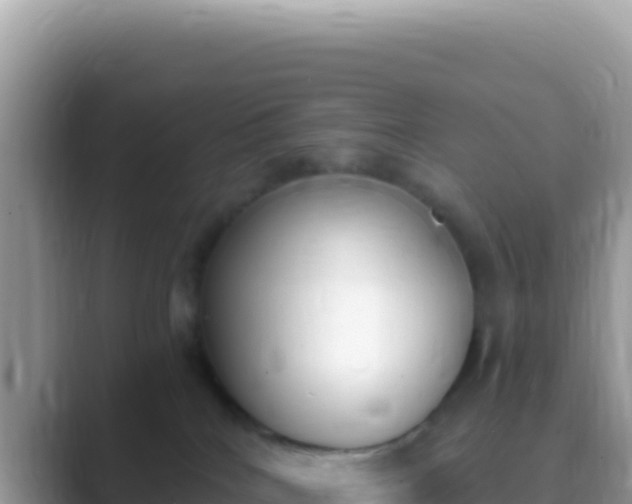 X0000089850040200707051123