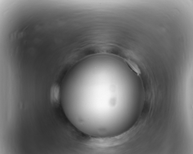 X0000089850041200707051123