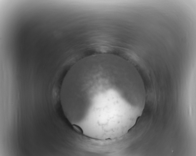 X0000089850043200707051123