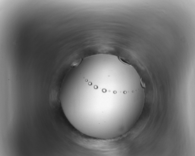 X0000089850044200707051123