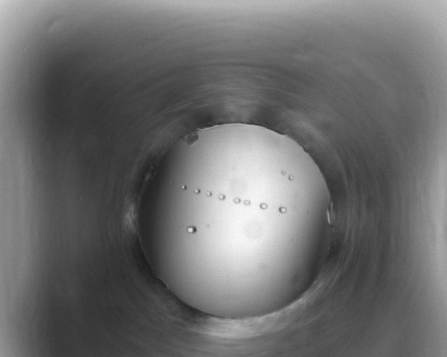 X0000089850045200707051123