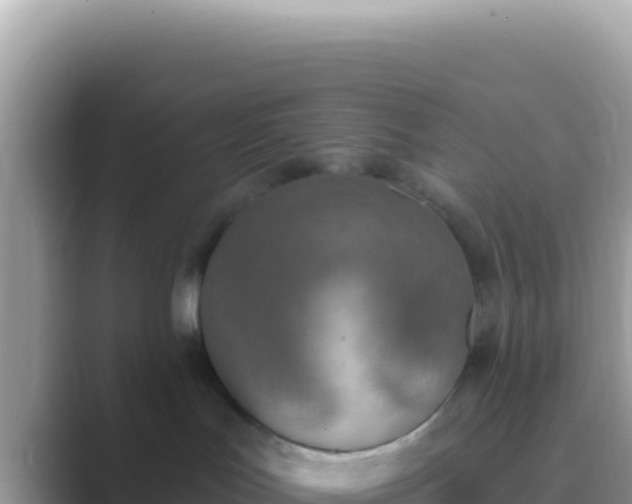 X0000089850047200707051123