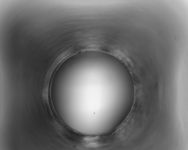 X0000089850051200707051122