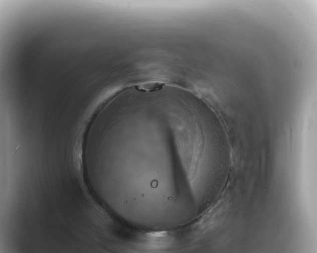 X0000089850054200707051122