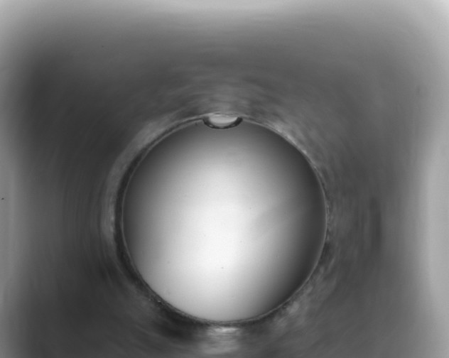 X0000089850055200707051122