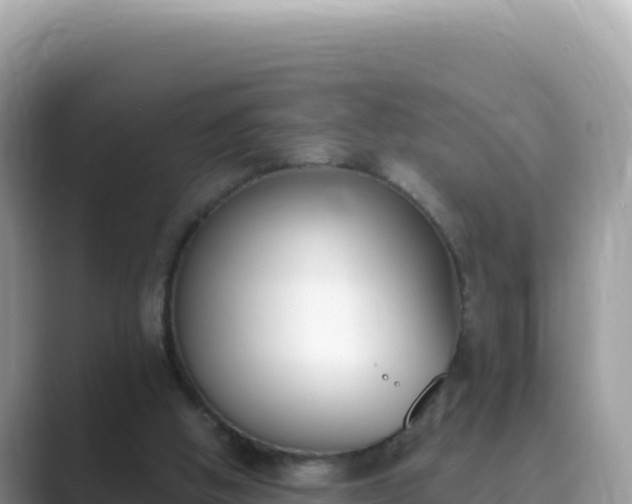 X0000089850058200707051122