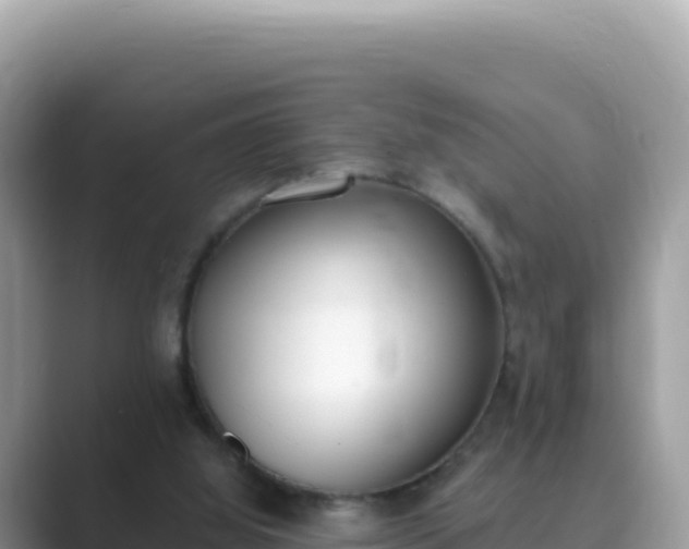 X0000089850060200707051123