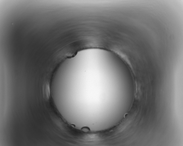 X0000089850061200707051123