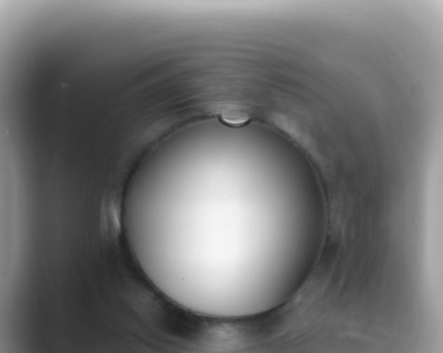 X0000089850062200707051123