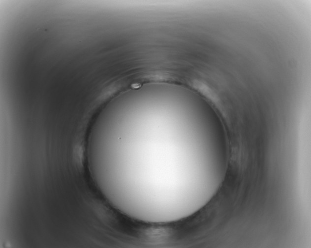 X0000089850063200707051123