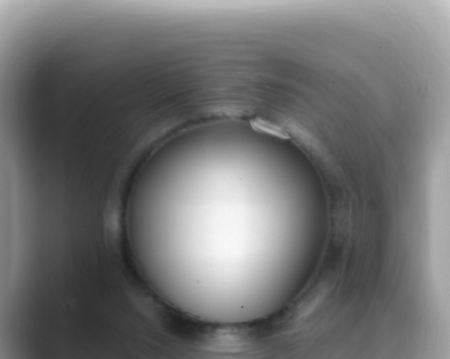 X0000089850064200707051123