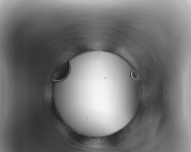 X0000089850065200707051123