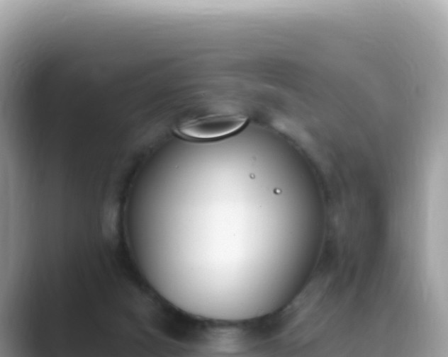 X0000089850066200707051123