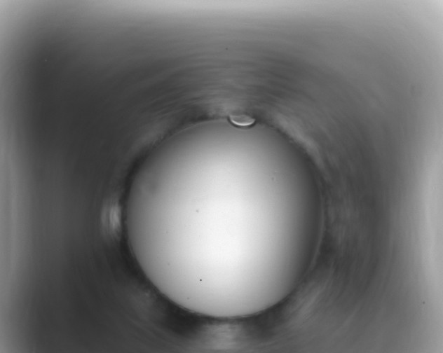 X0000089850067200707051123