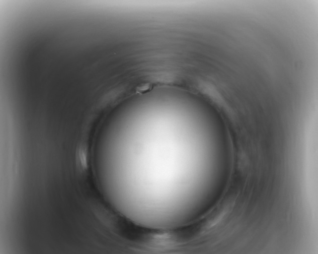 X0000089850068200707051123