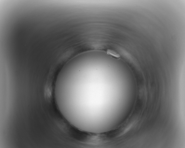 X0000089850072200707051123