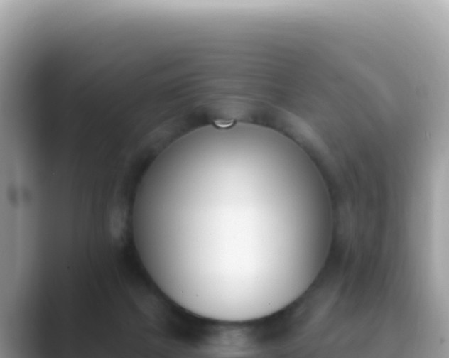 X0000089850073200707051123