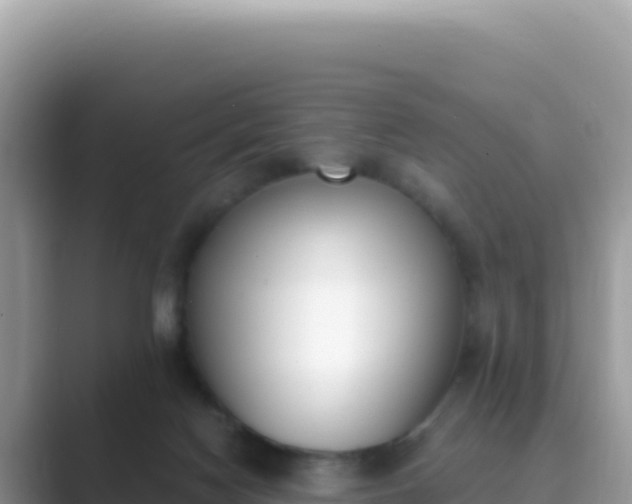 X0000089850074200707051123