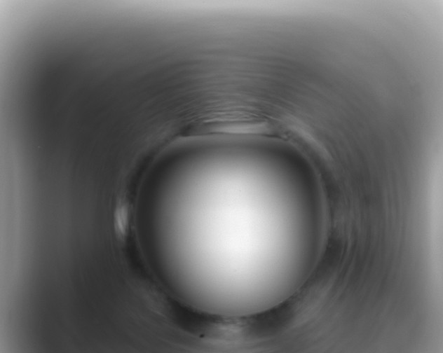 X0000089850076200707051123