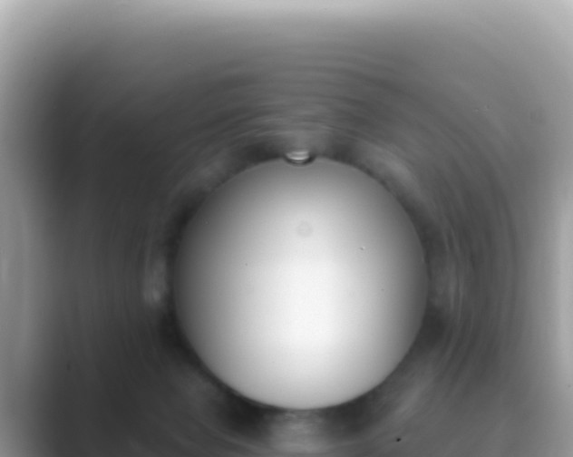 X0000089850077200707051123