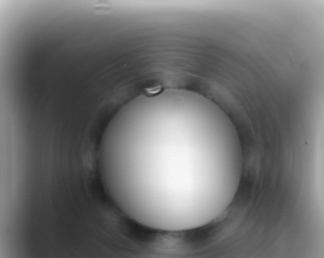 X0000089850078200707051123