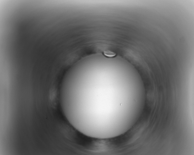 X0000089850079200707051123