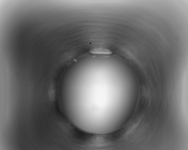X0000089850080200707051123