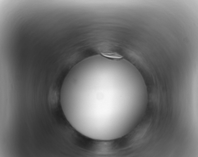 X0000089850081200707051123