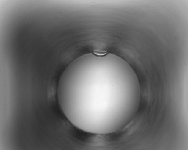 X0000089850082200707051123
