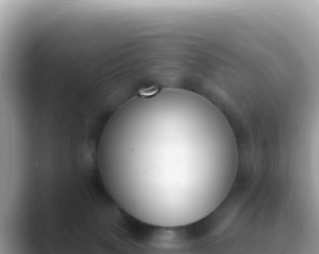 X0000089850083200707051123