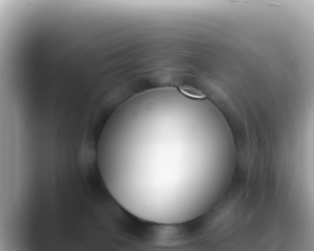 X0000089850085200707051123
