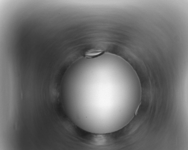 X0000089850091200707051123