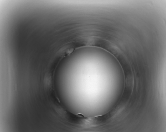 X0000089850092200707051123