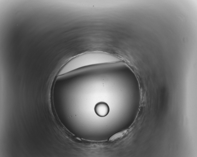 X0000089850099200707051122