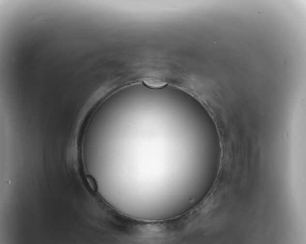 X0000089850102200707051122