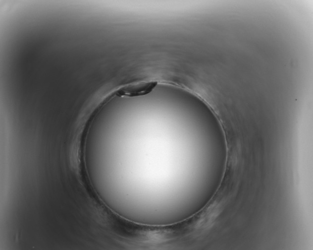 X0000089850103200707051122