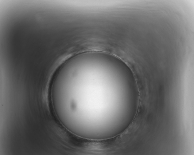 X0000089850104200707051122