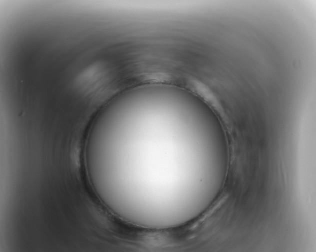 X0000089850106200707051122