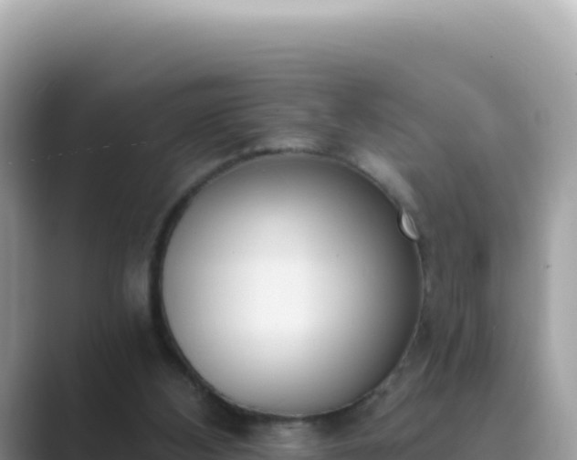 X0000089850108200707051122