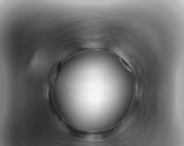X0000089850109200707051122