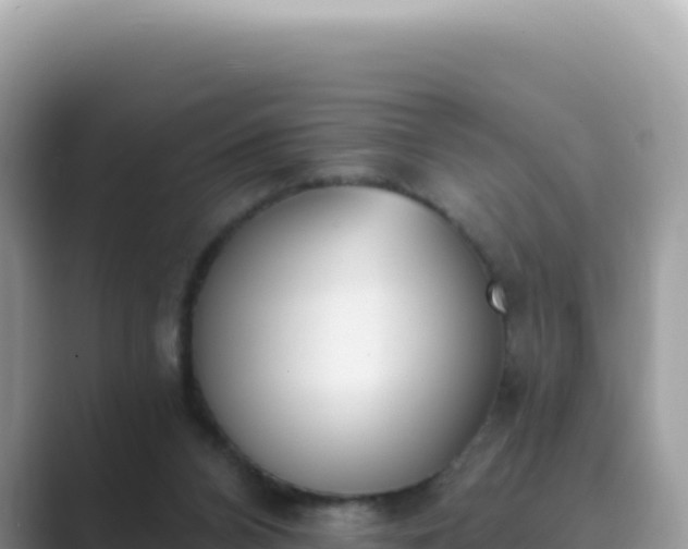 X0000089850112200707051122