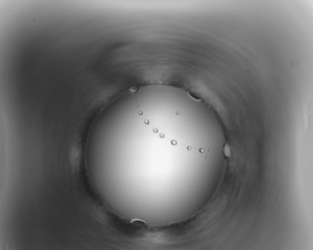 X0000089850113200707051122