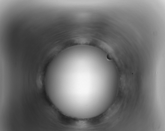 X0000089850114200707051122
