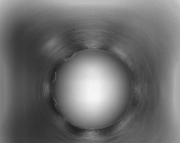 X0000089850117200707051122