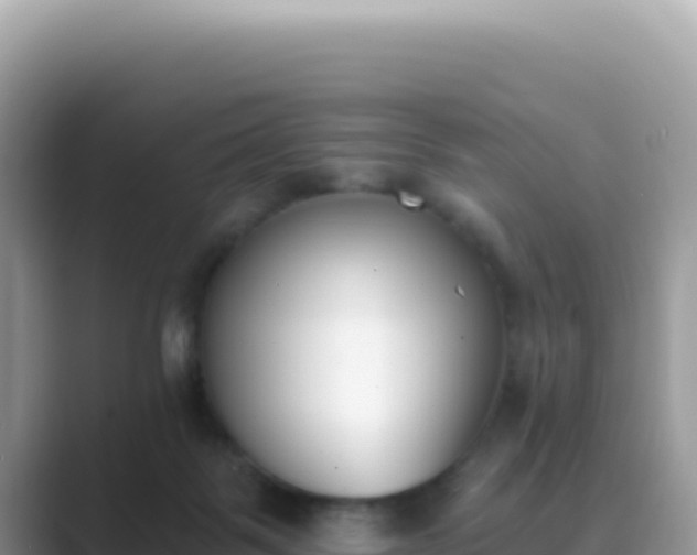 X0000089850123200707051122