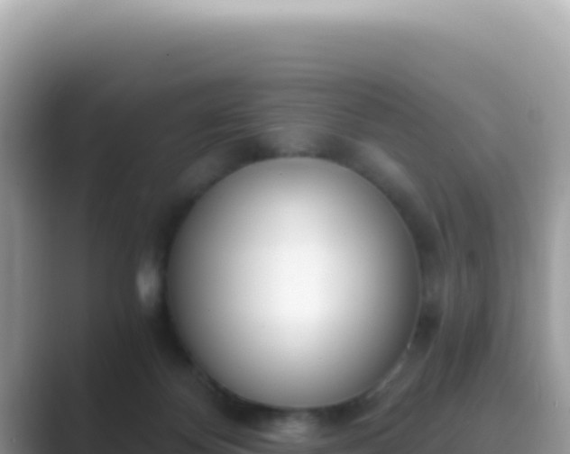 X0000089850124200707051122