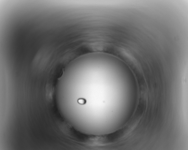 X0000089850125200707051122