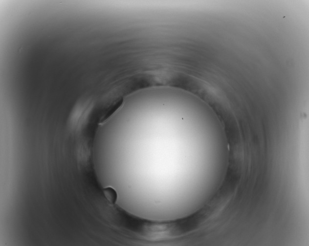 X0000089850129200707051122